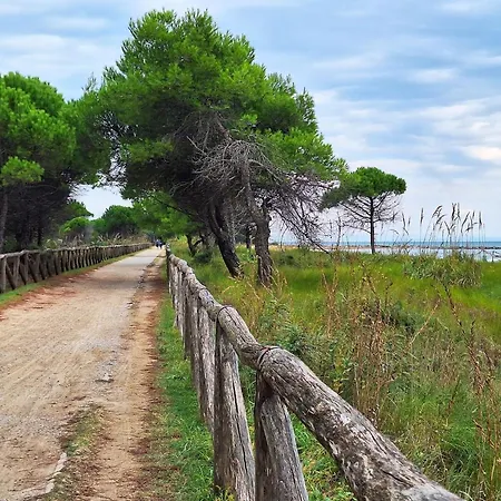 A Beautiful In A Quiet Area With Pool Apartamento